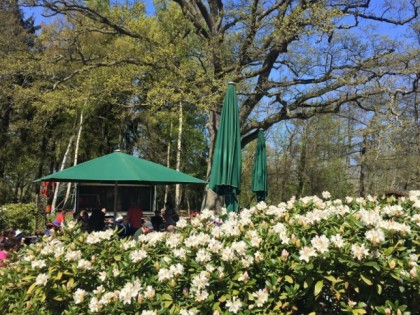 Foto: Schlösschen Sundische Wiese